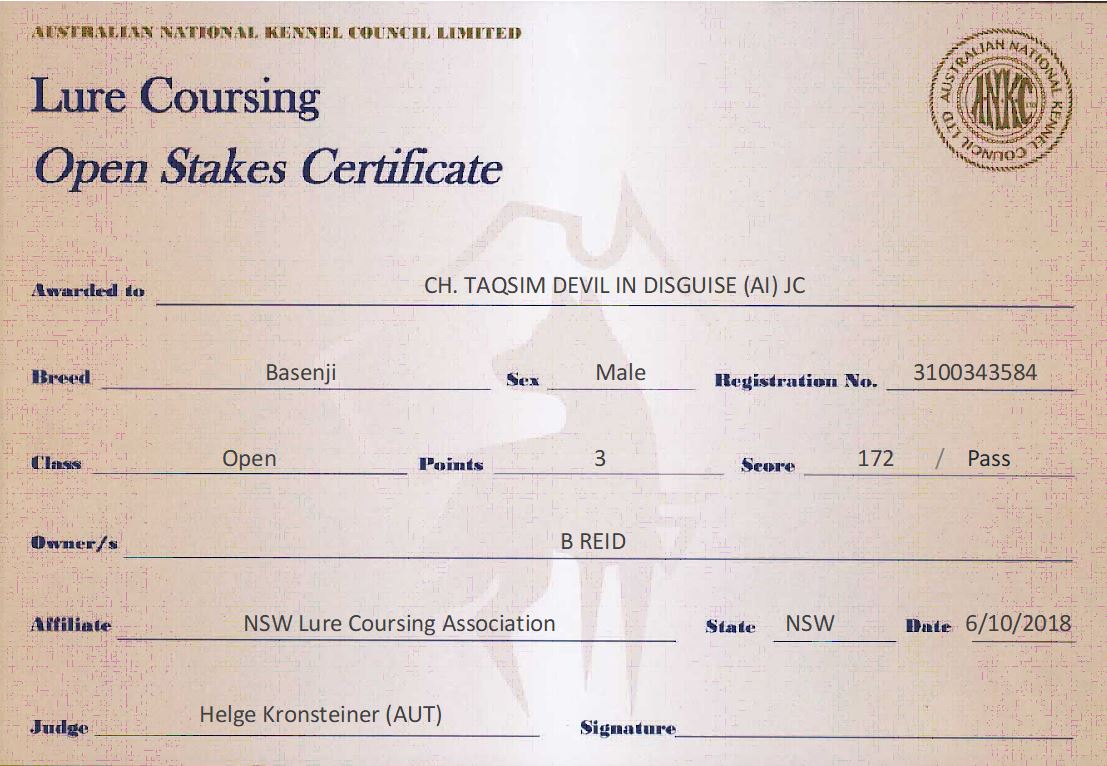 ANKC Open Certificate