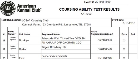 AKC CAT Judging Sheet