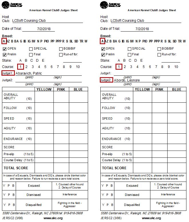 Prelim Judging Sheets